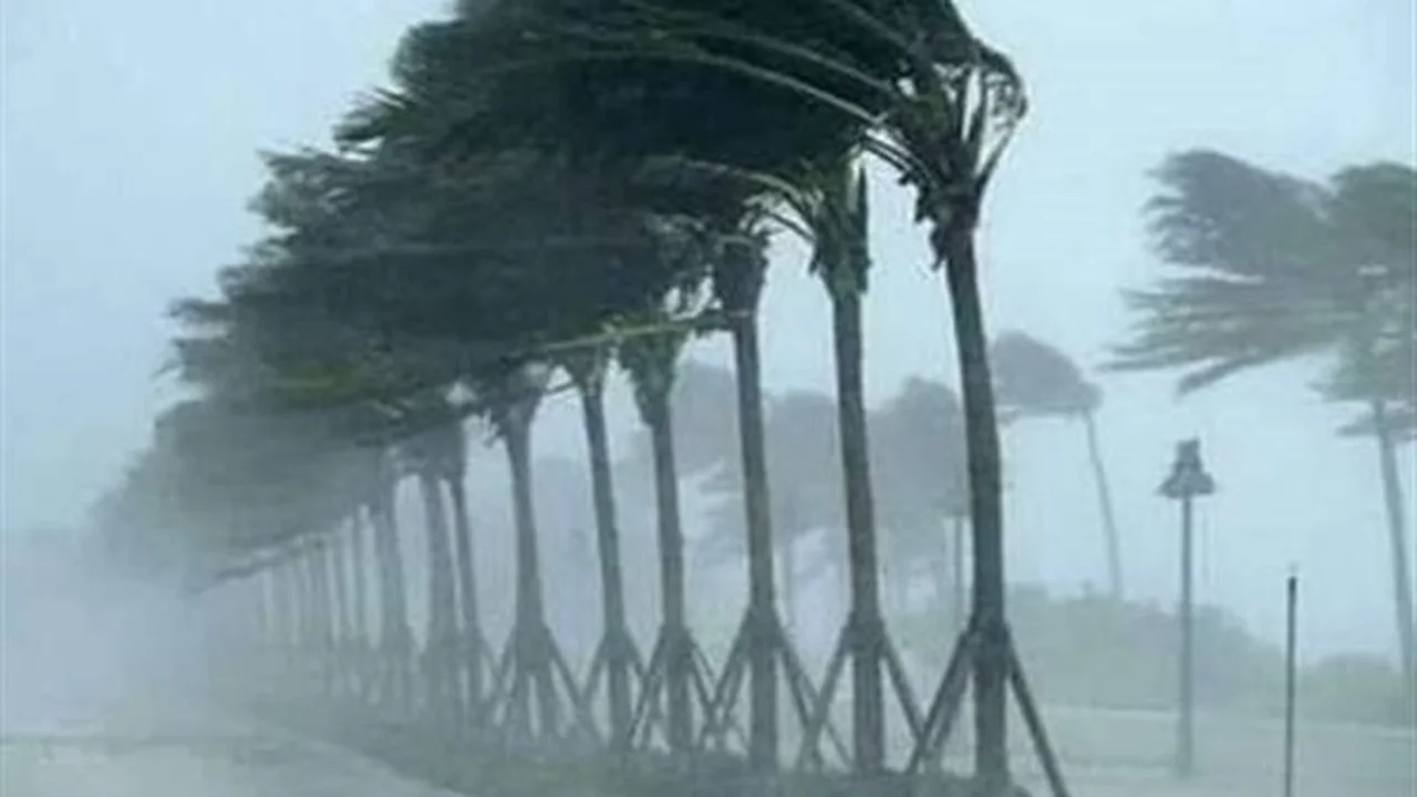 تحذير رسمي.. الأرصاد الجوية تترقب انخفاض الرؤية الأفقية لأقل من 1000 متر